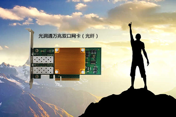 萬兆光纖網卡